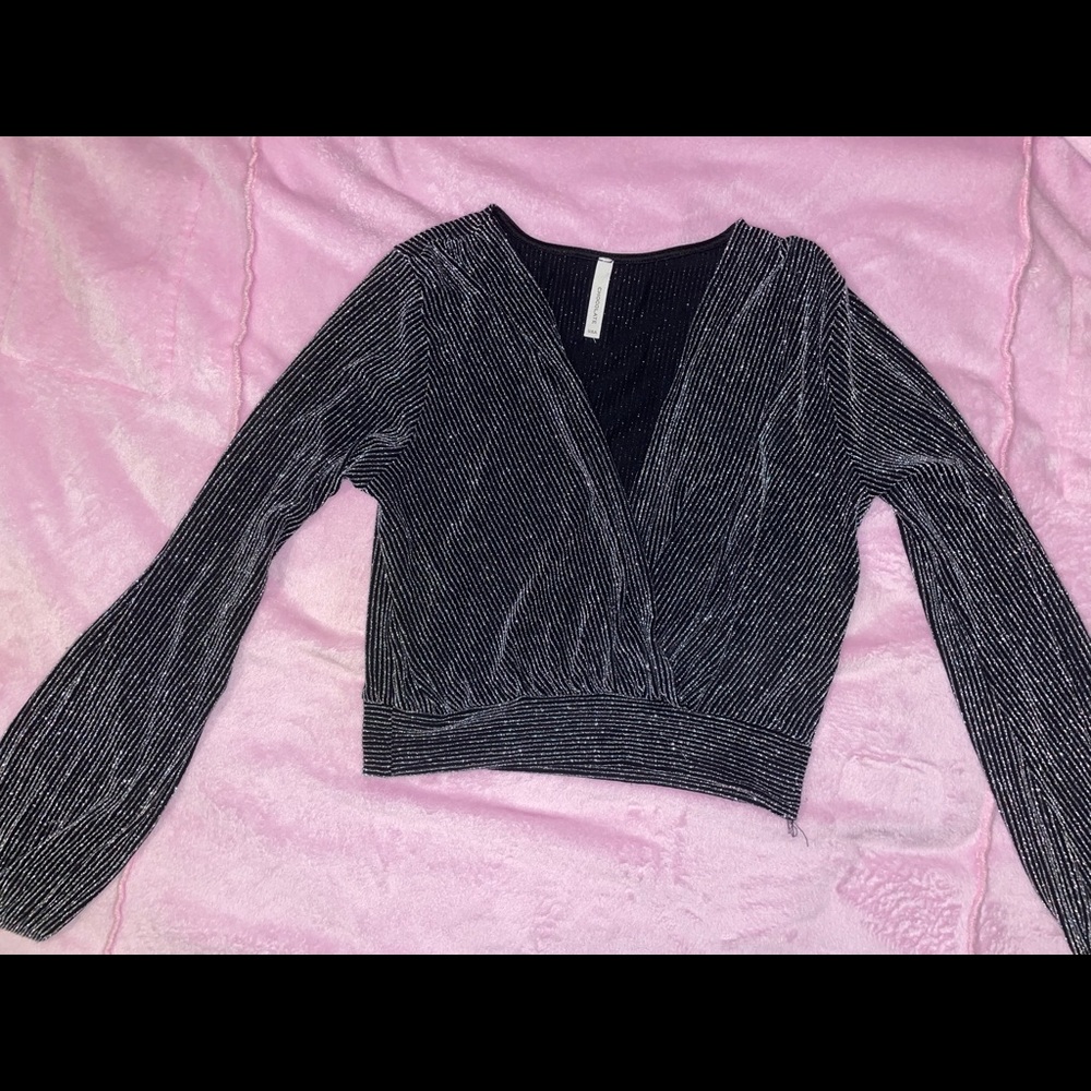 Large Shimmery Plunge Neck Blouse